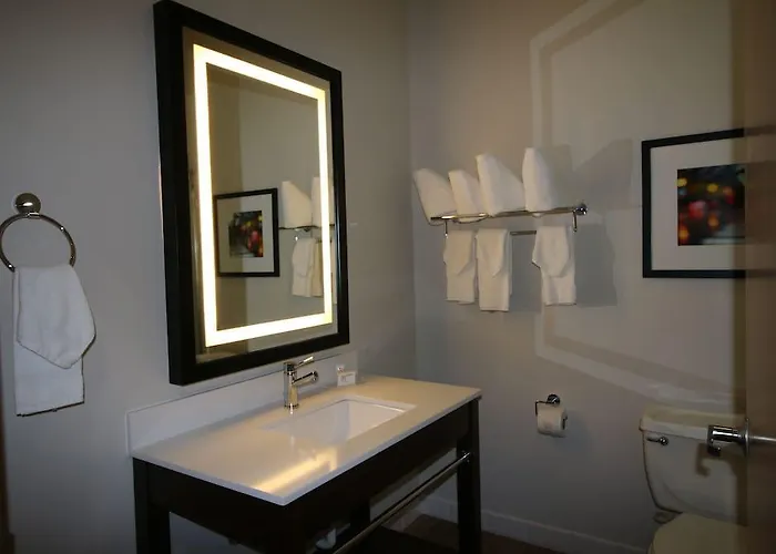 Hotel Four Points By Sheraton Chicago