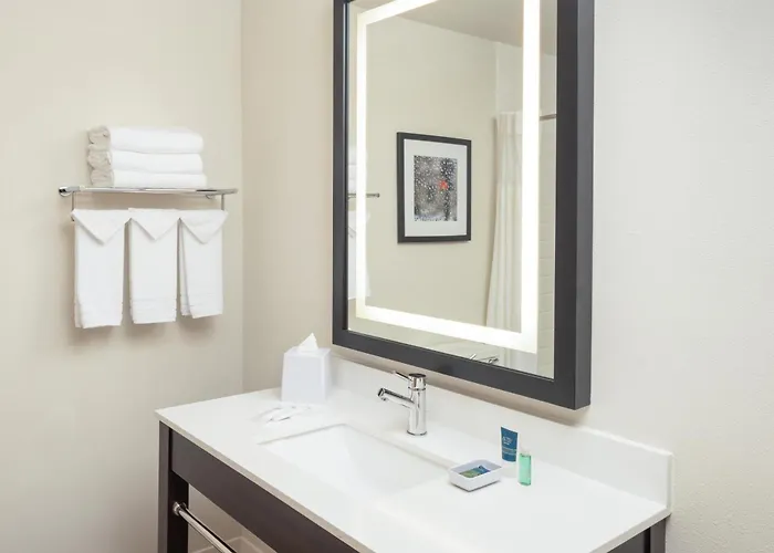 Hotel Four Points By Sheraton Chicago