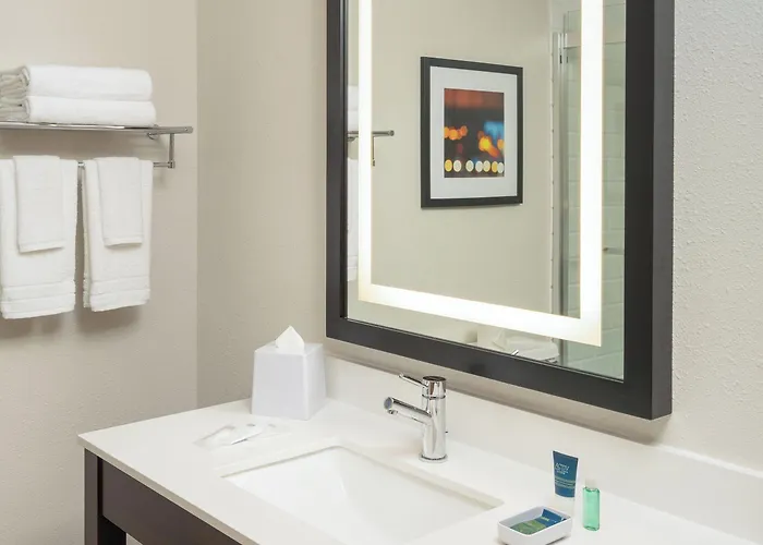 Hotel Four Points By Sheraton Chicago Schaumburg