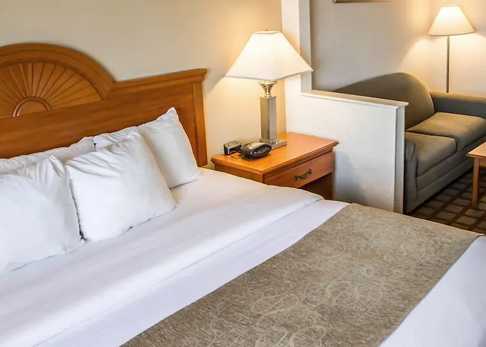 Hotel Four Points By Sheraton Chicago